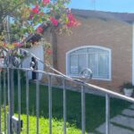 Casa no bairro jardim floresta - 4183